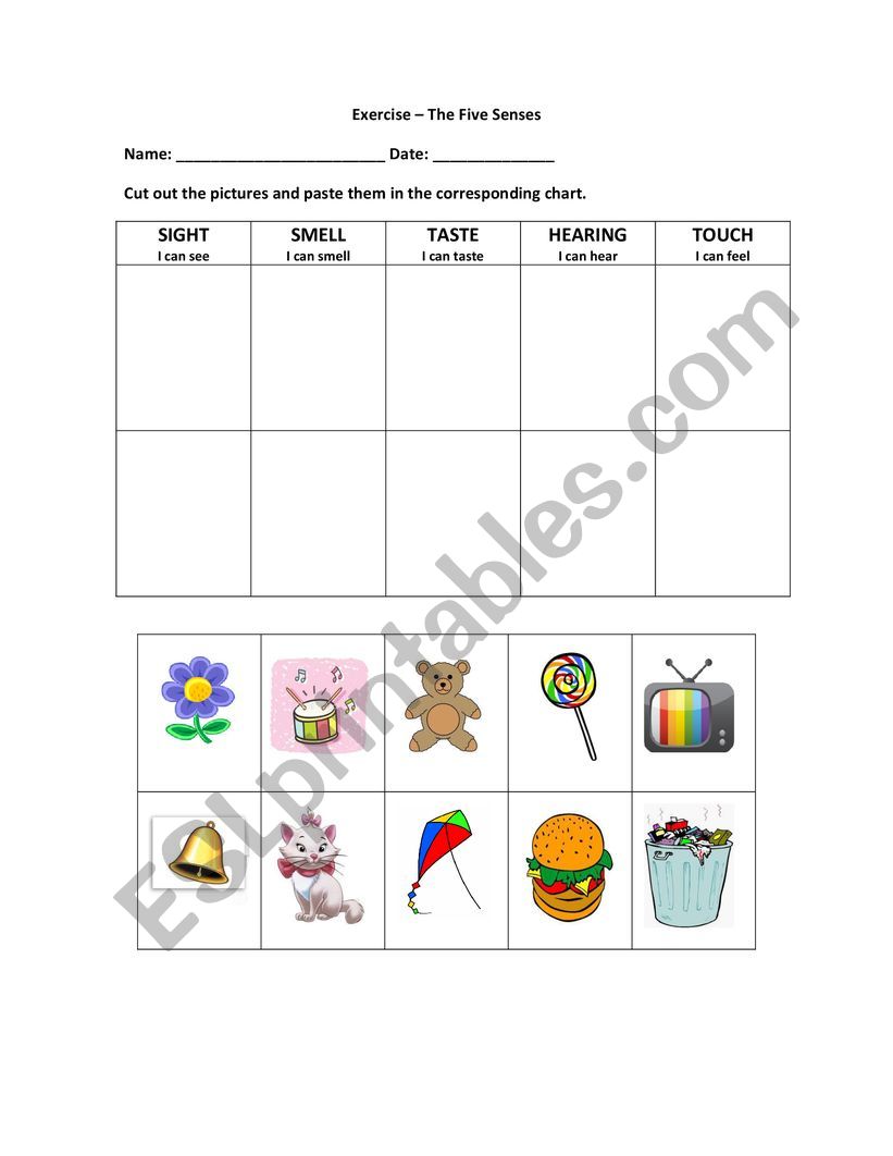 The five senses worksheet