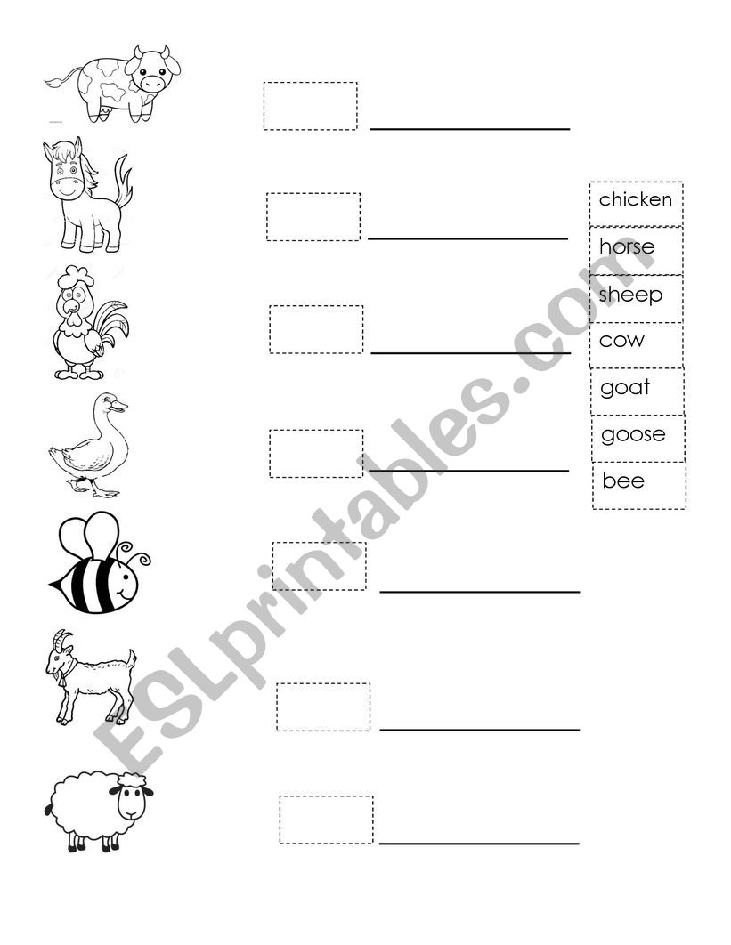kind of animals - ESL worksheet by Omaira19