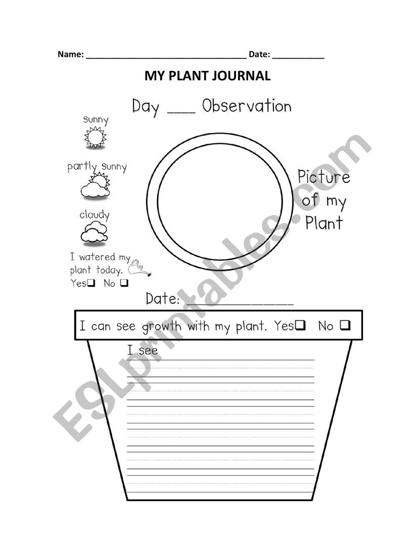 Plant journal worksheet