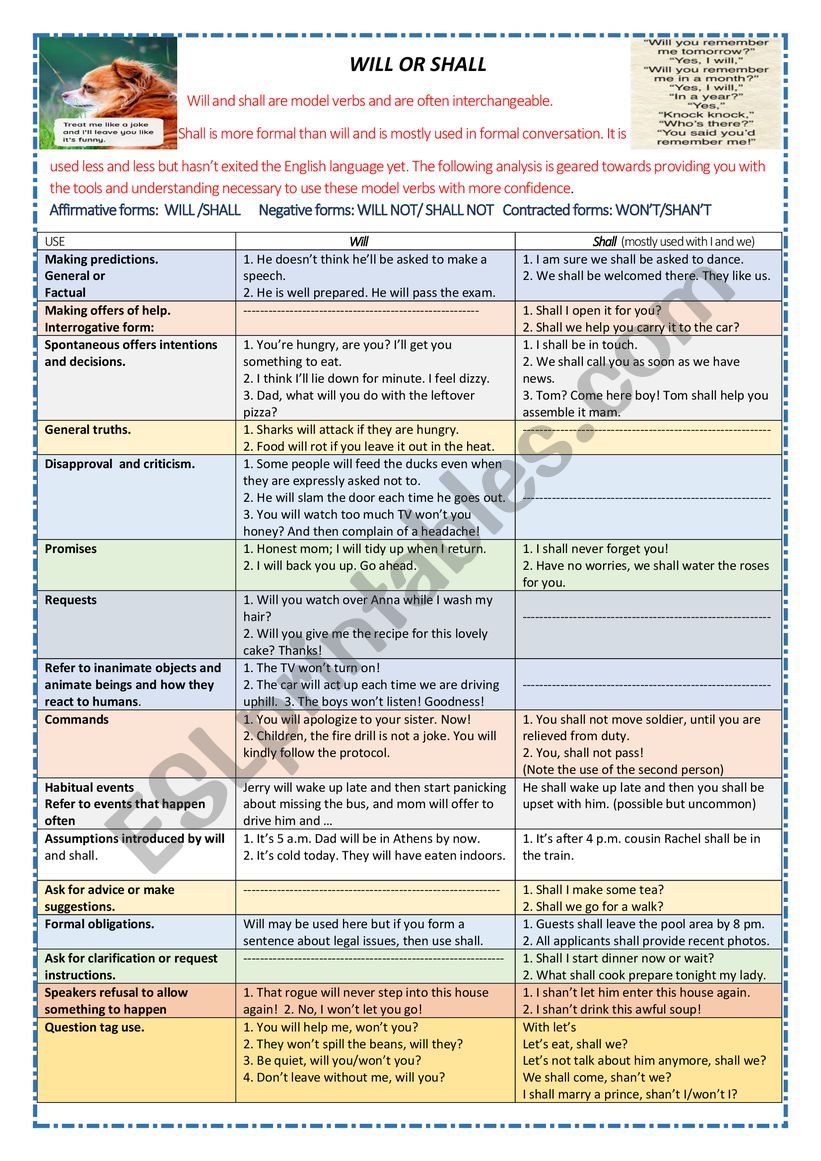 USES OF WILL AND SHALL worksheet