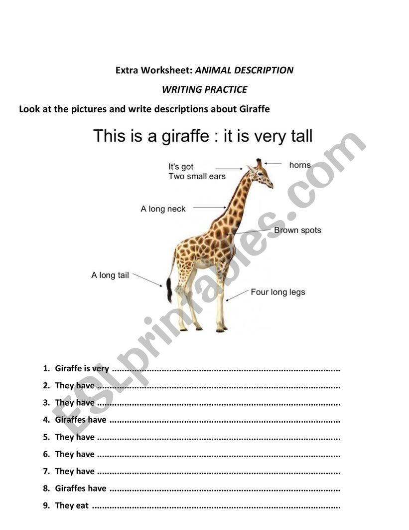 Writing practice - Animal description