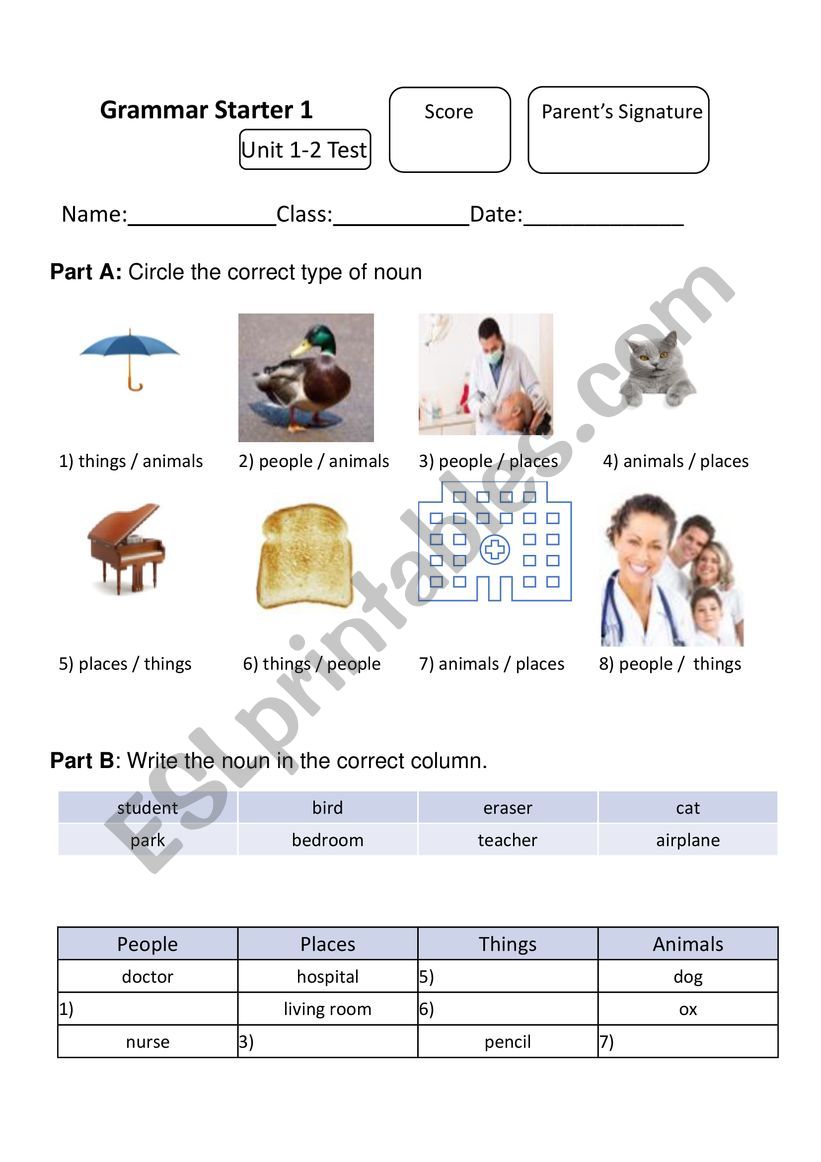 Grammar test nouns a or an worksheet