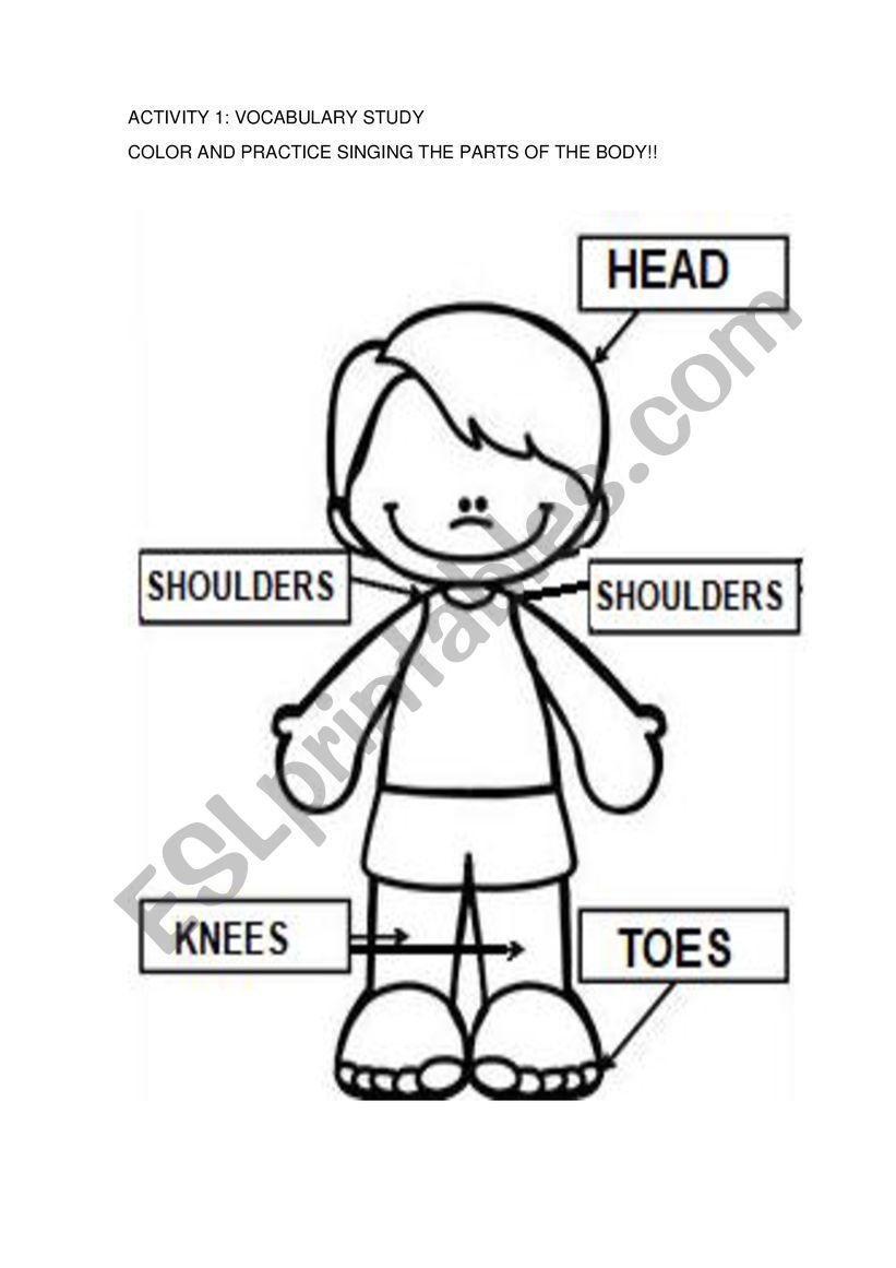 PARTS OF THE BODY worksheet