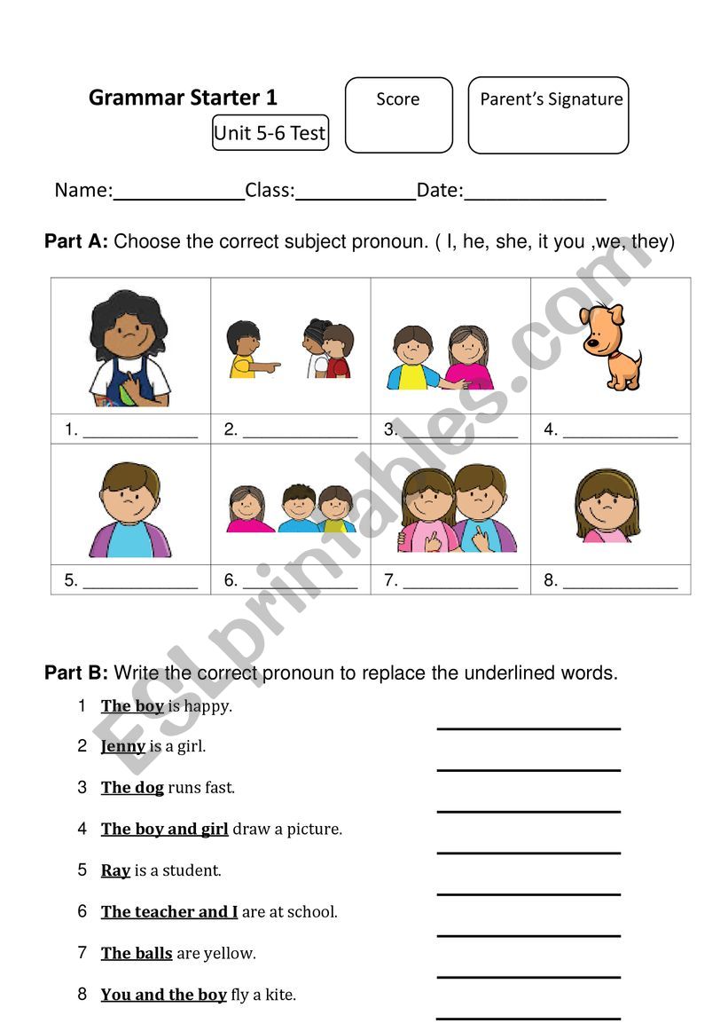 Subject Pronouns Test Worksheets