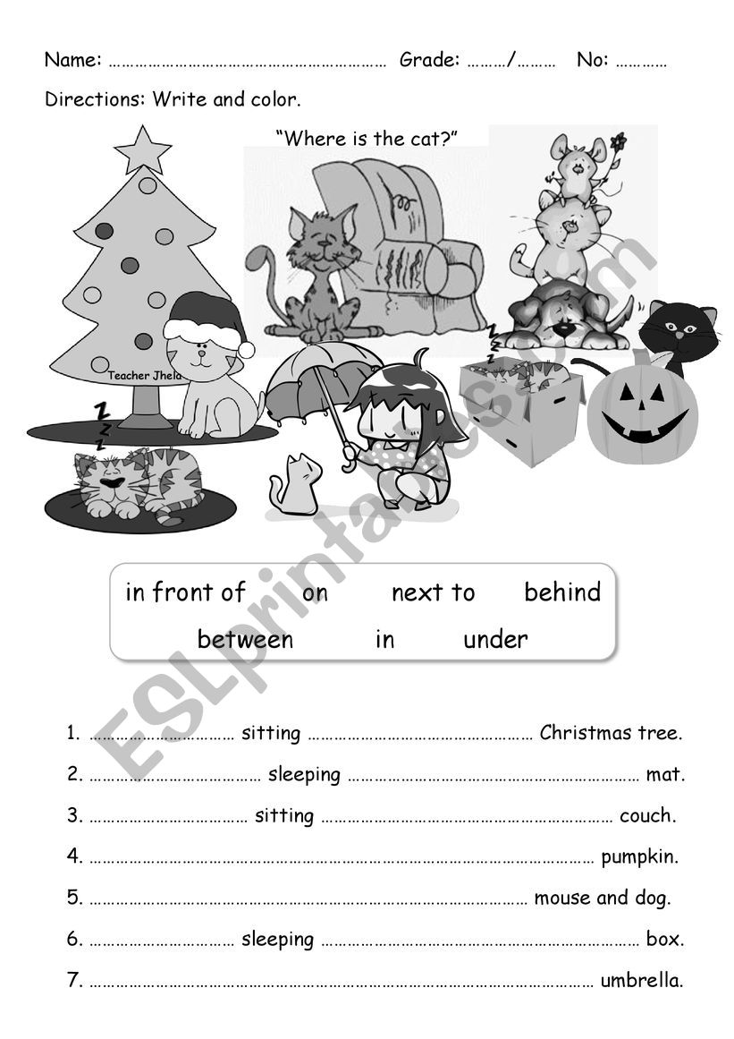 Where is the cat? worksheet