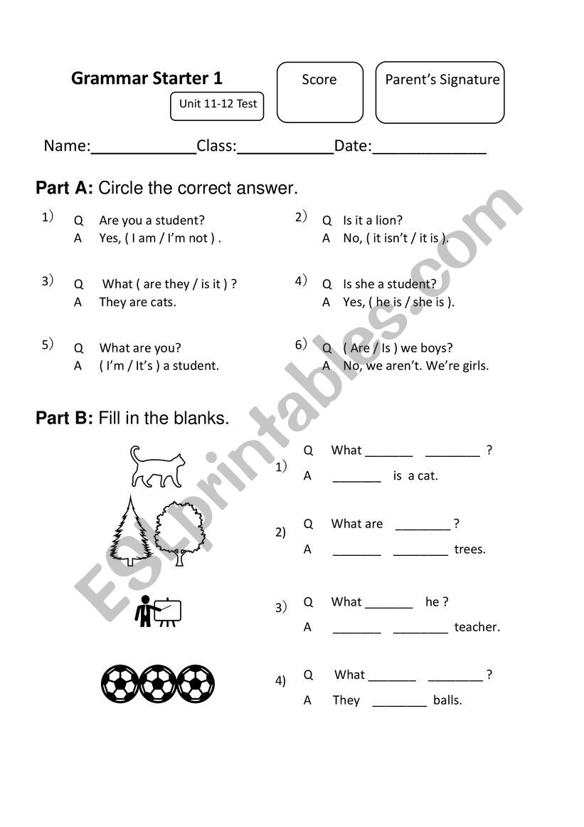 Grammar u 11-12 be verb yes no closed questions