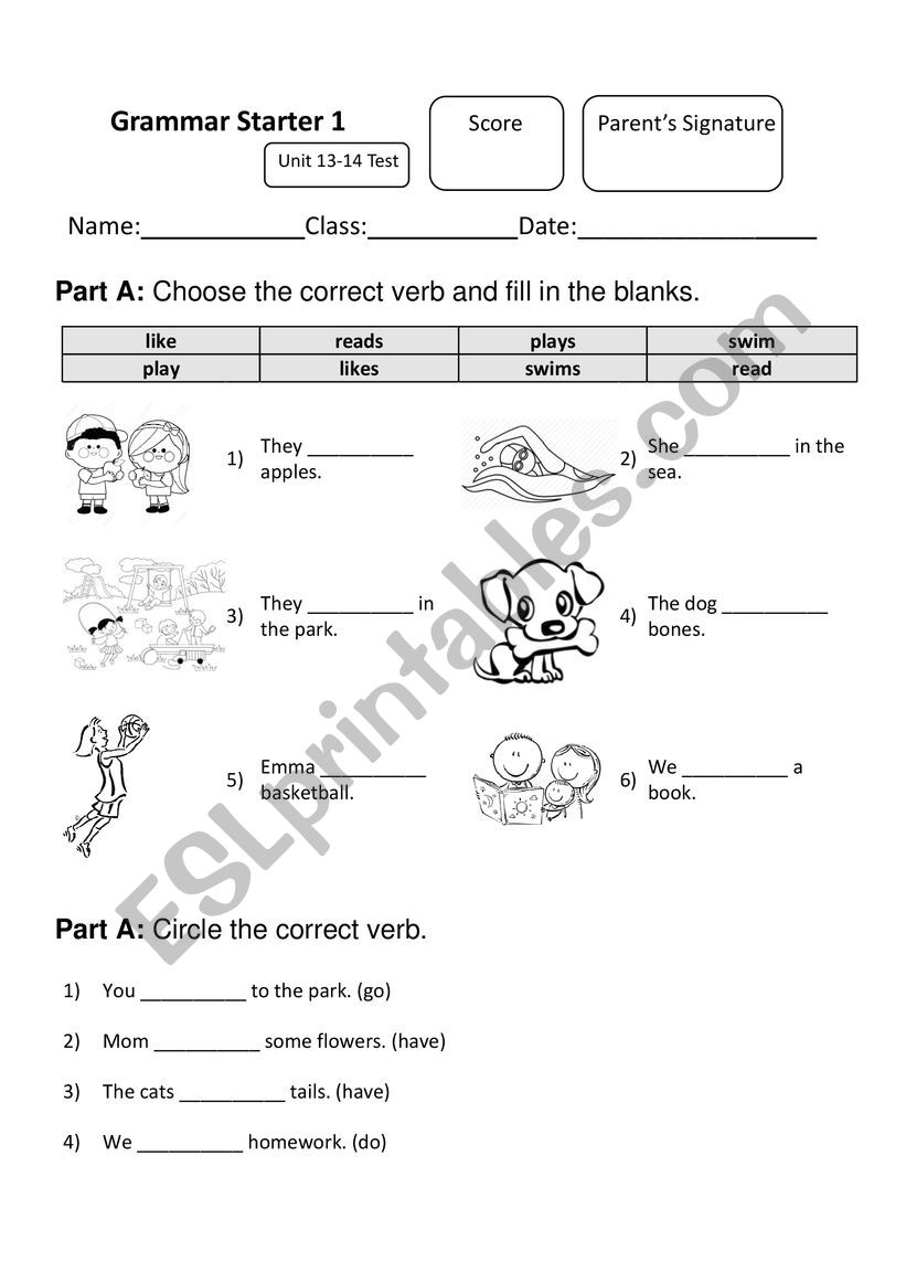 Grammar regular verb plus s worksheet