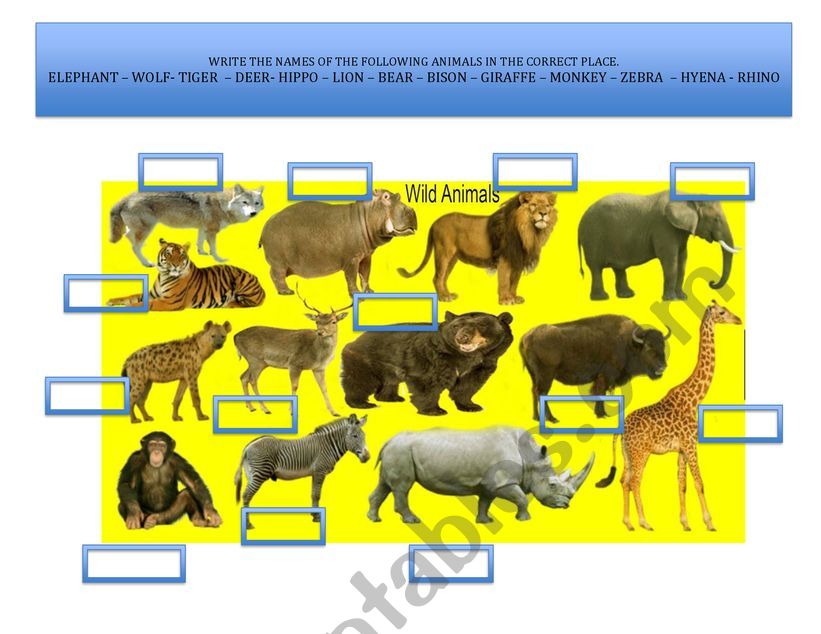 Wild animals worksheet