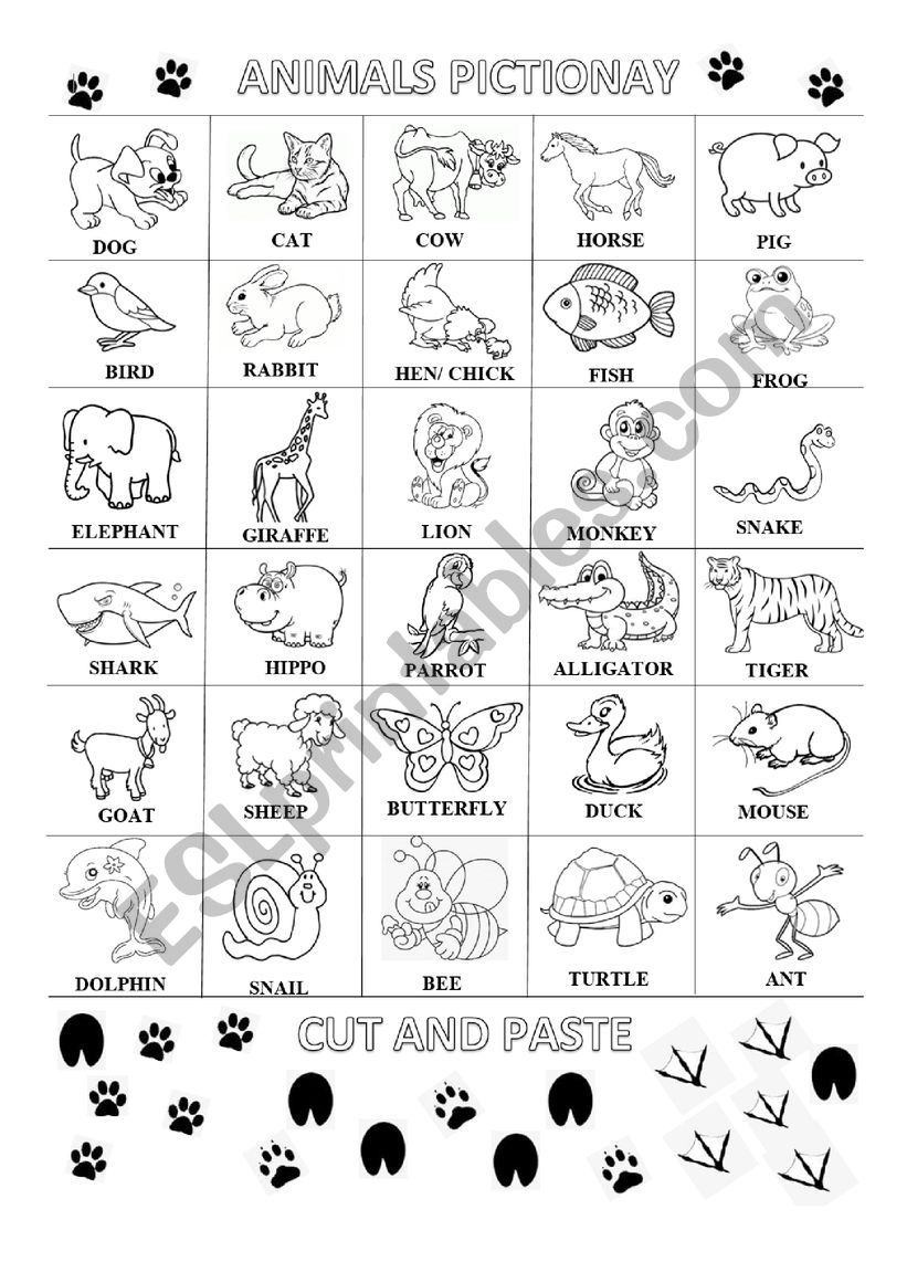 Animals worksheet