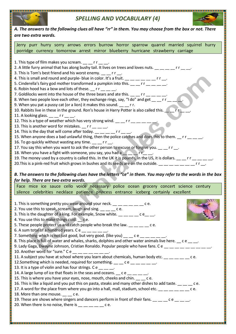 VOCABULARY AND SPELLING (4) worksheet