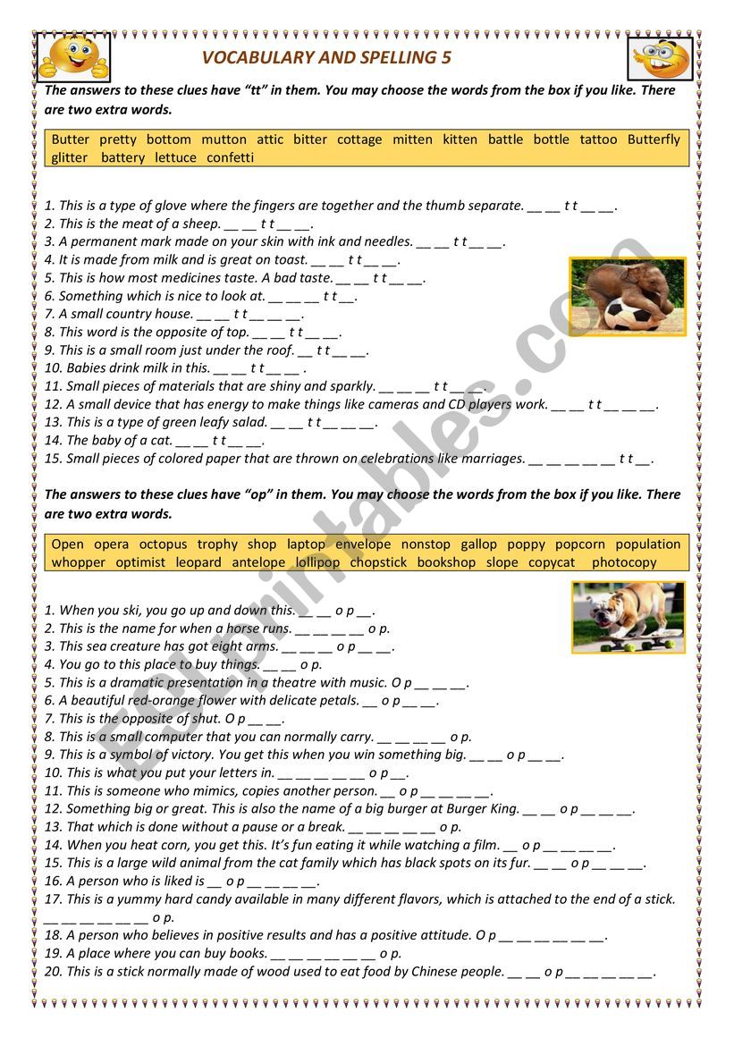 VOCABULARY AND SPELLING 5 worksheet