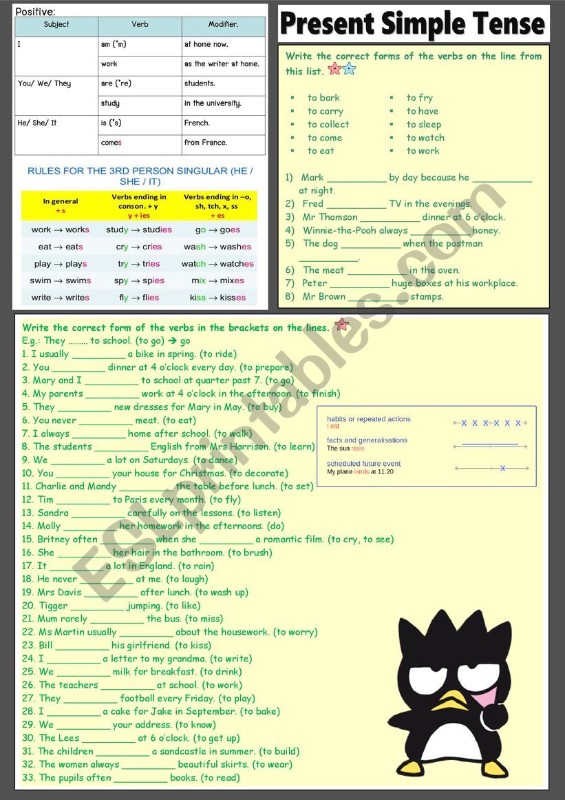 Present Simple Tense POSITIVE worksheet