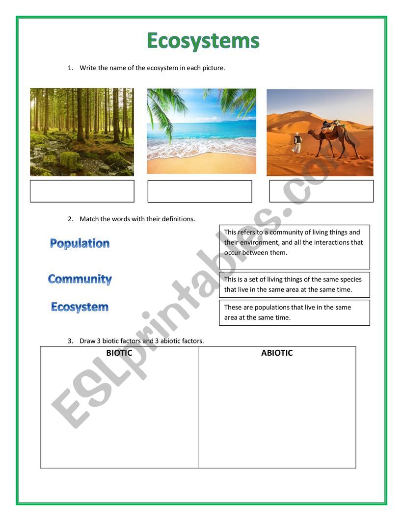 ECOSYSTEMS worksheet