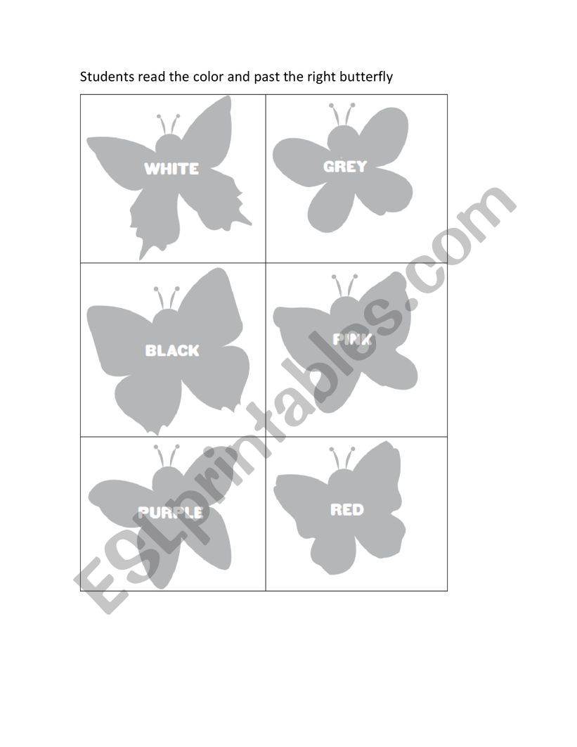 Colors Colours Butterflies worksheet