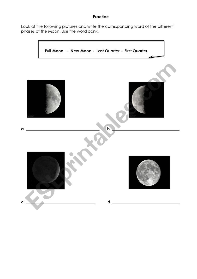 Phases of the Moon worksheet