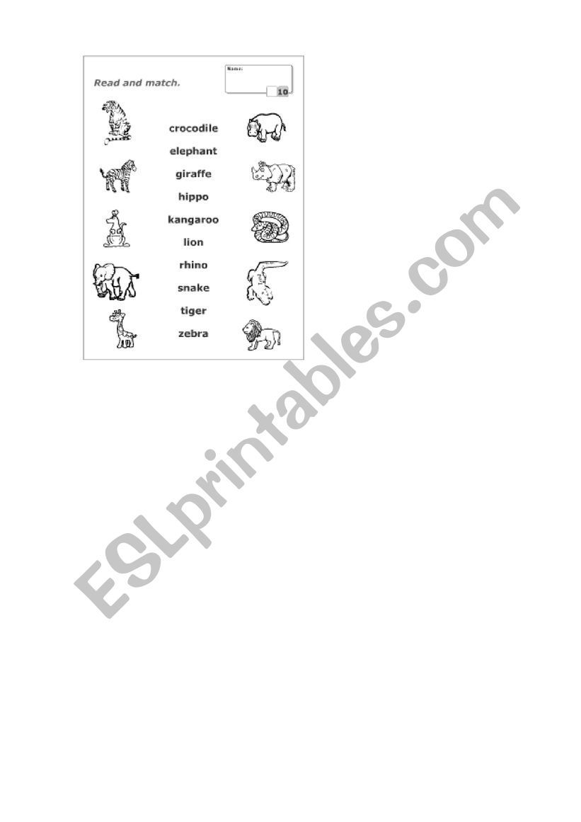 wild animals worksheet