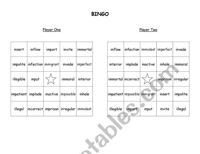 Chameleon Prefix im- il- ir- in- Bingo Game