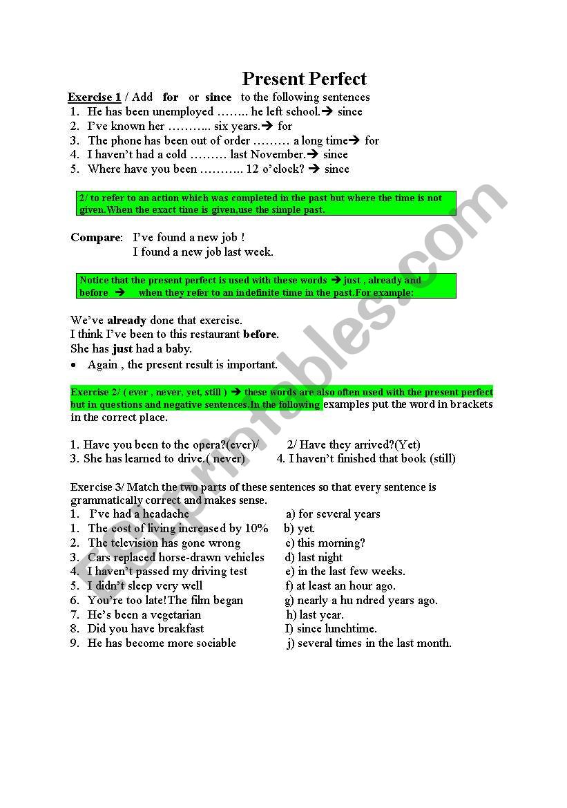 present perfect  worksheet