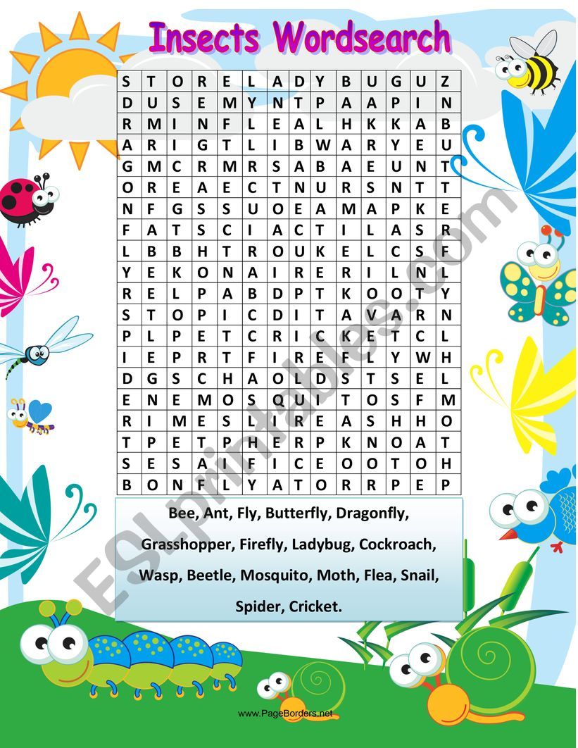Find and colour Insects worksheet