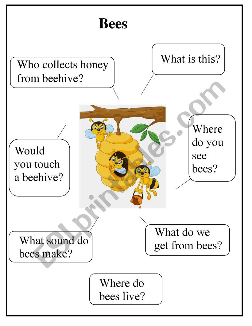 Creative writing - Bees worksheet