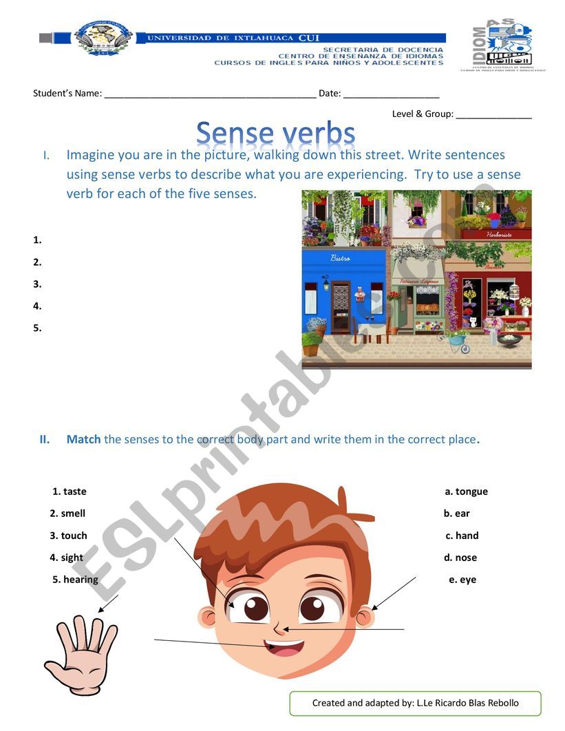Sense verbs  worksheet