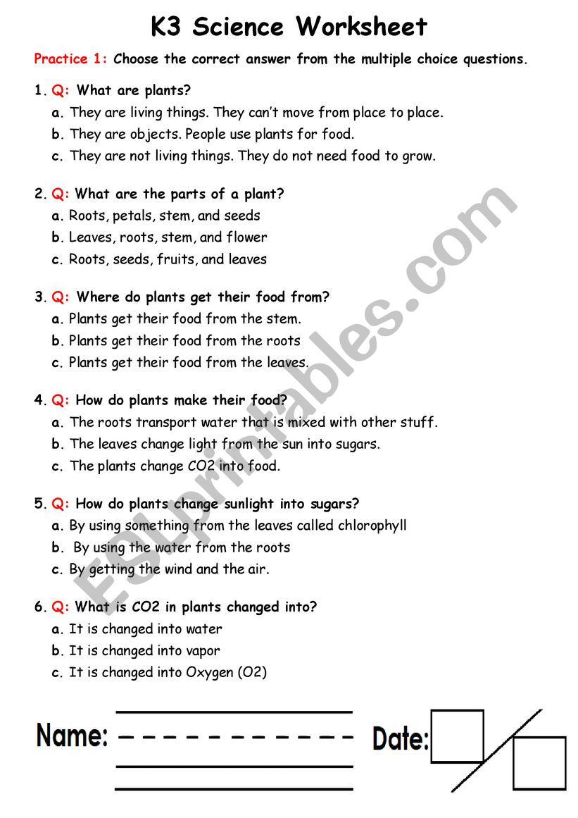 plants worksheet