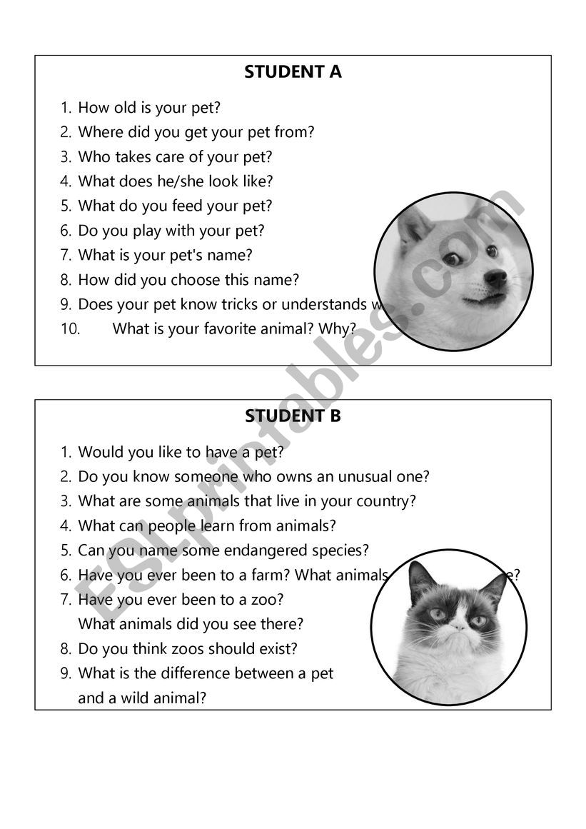 Discussion about pets worksheet
