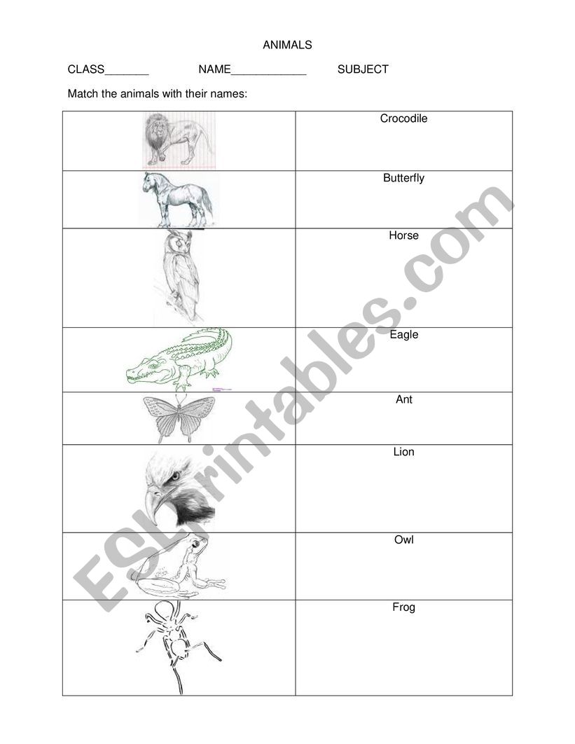 ANIMALS  worksheet