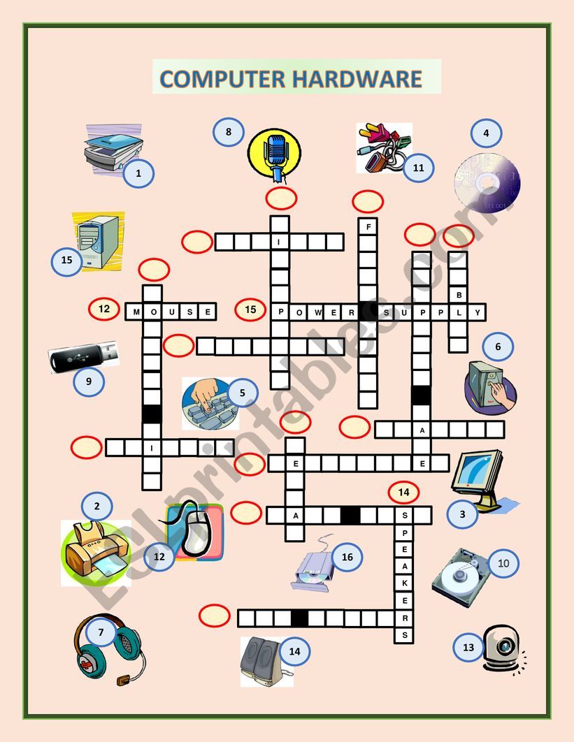 Computer Hardwdare worksheet
