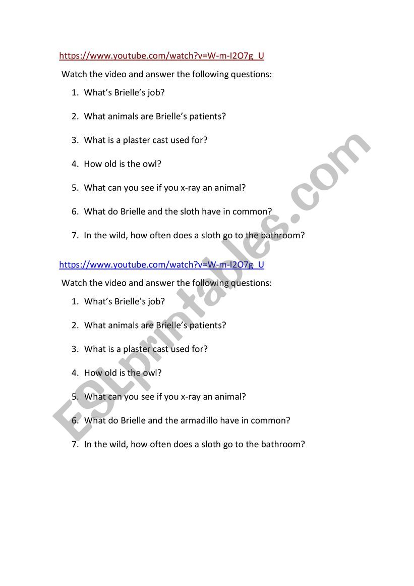 Brielle vet video worksheet