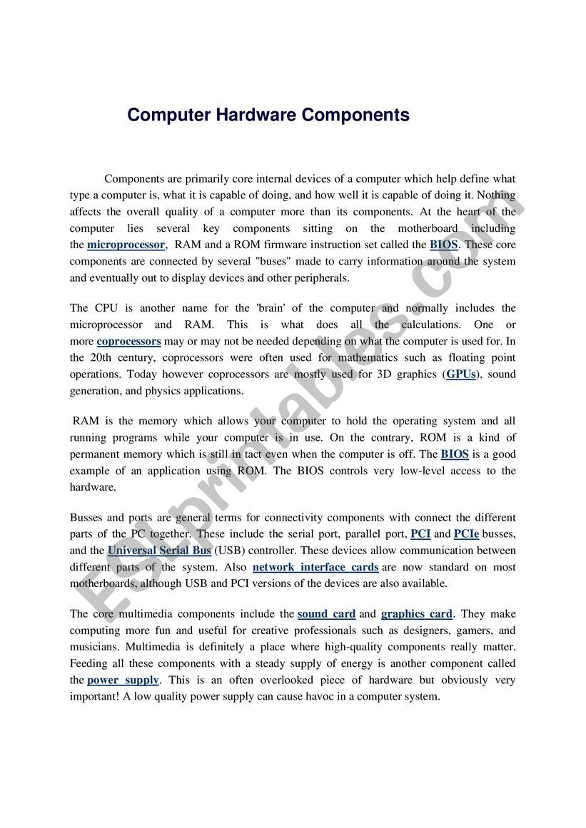 computer hardware worksheet