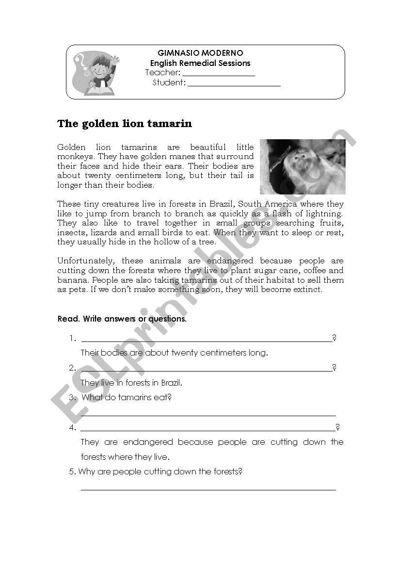 The Golden Lion tamarins worksheet