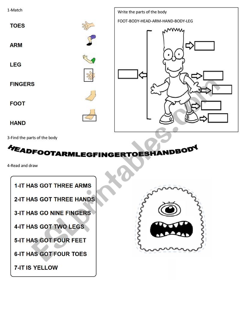 The body worksheet