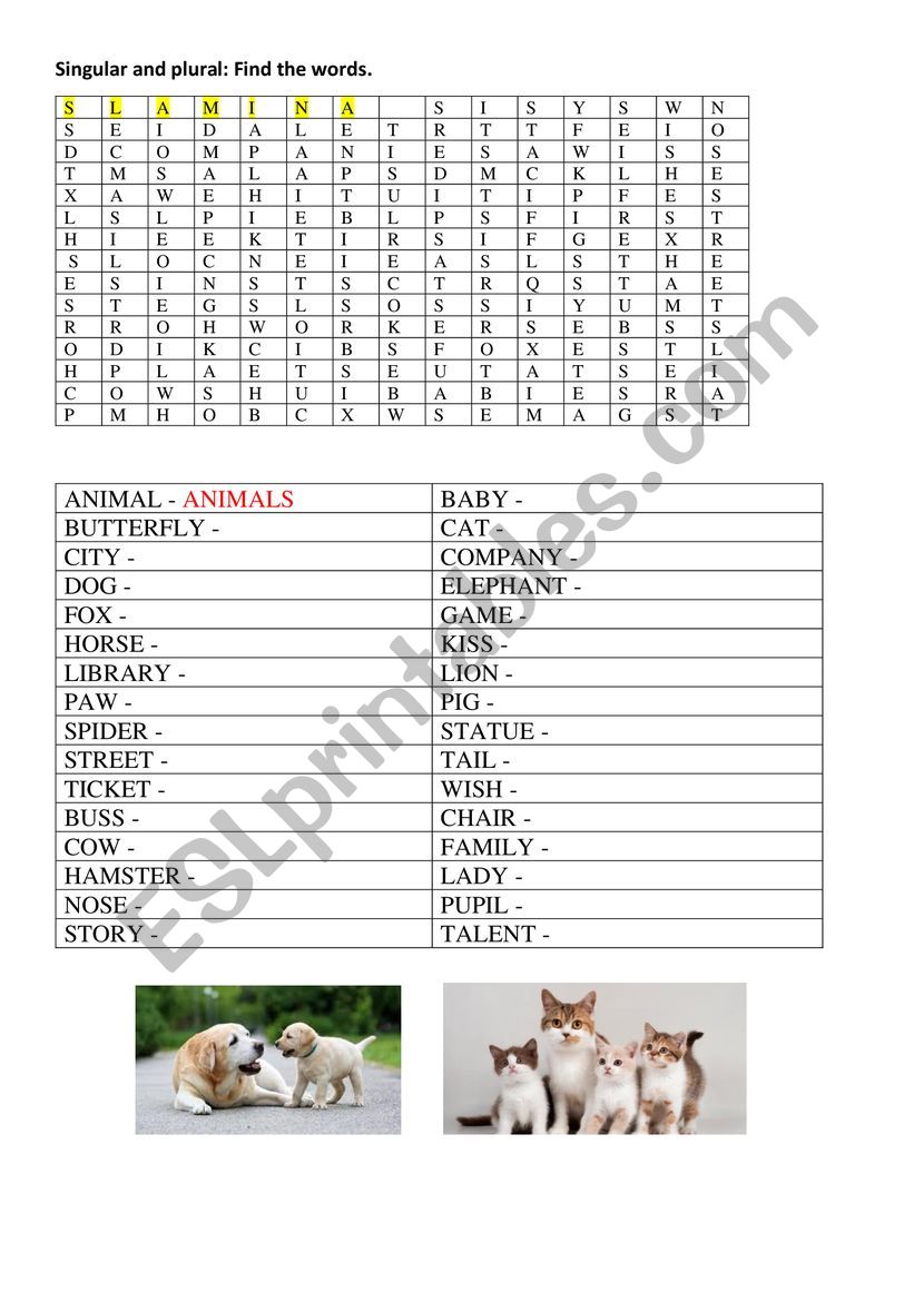 Singular and plural worksheet