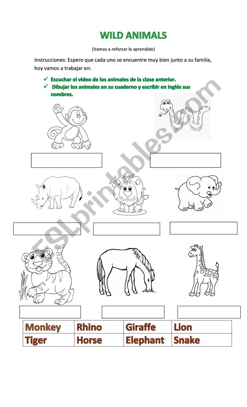 wild animals worksheet