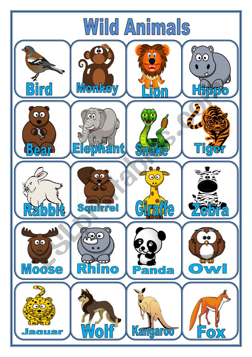 PICTIONARY Wild Animals worksheet