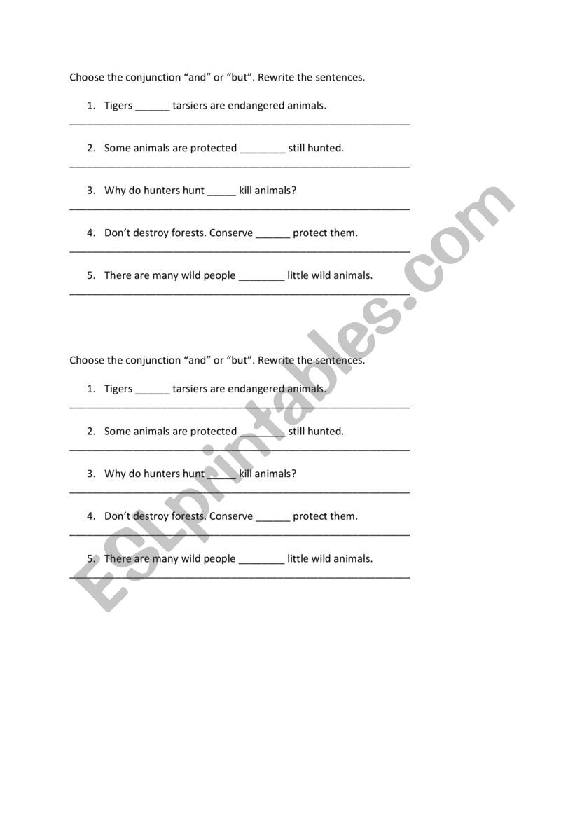 Conjunction worksheet