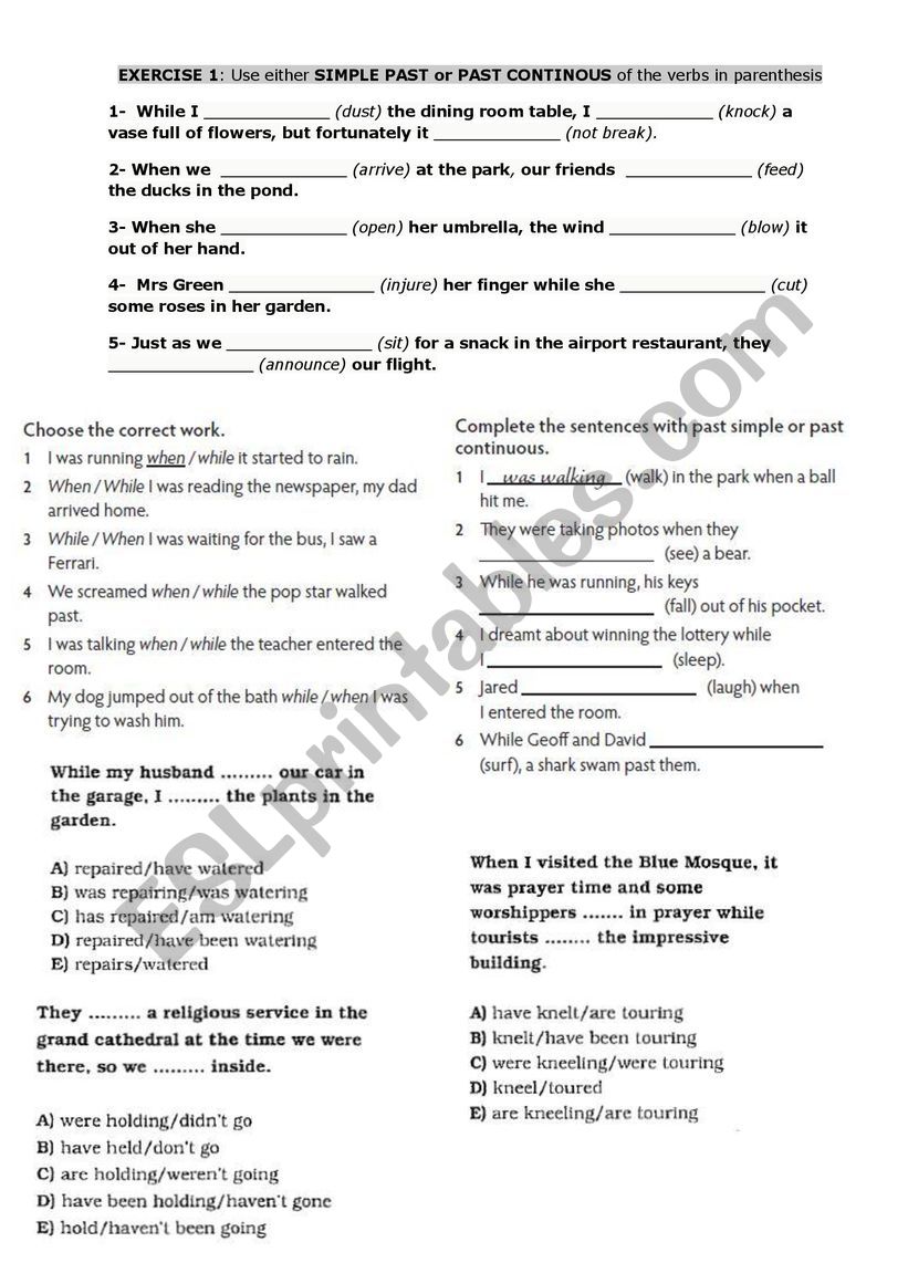 Simple Past - Past Cont. worksheet