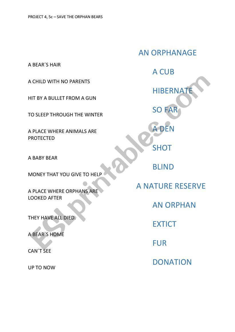 Vocabulary - Project 4, 5C worksheet