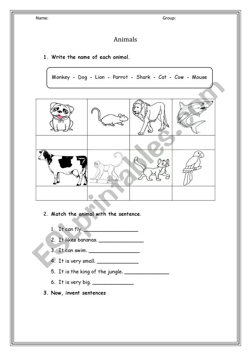 Animals worksheet