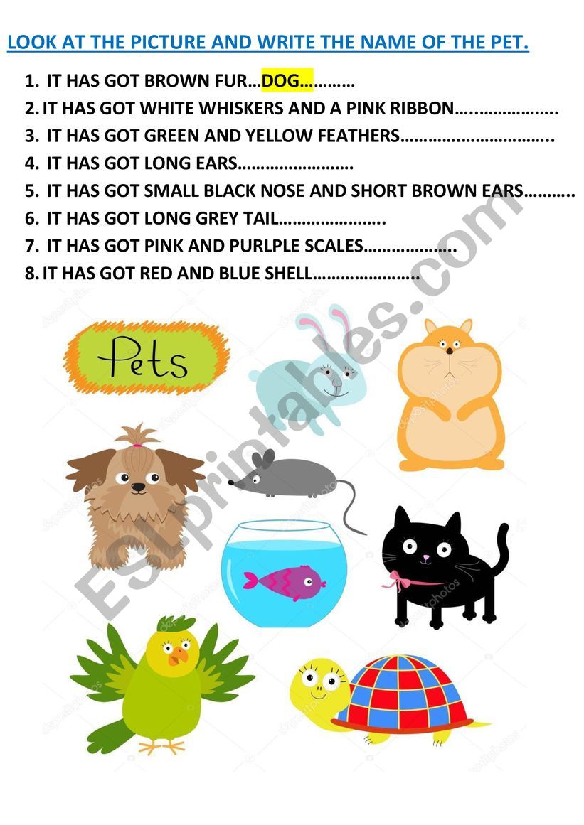 PETS DESCRIPTION worksheet