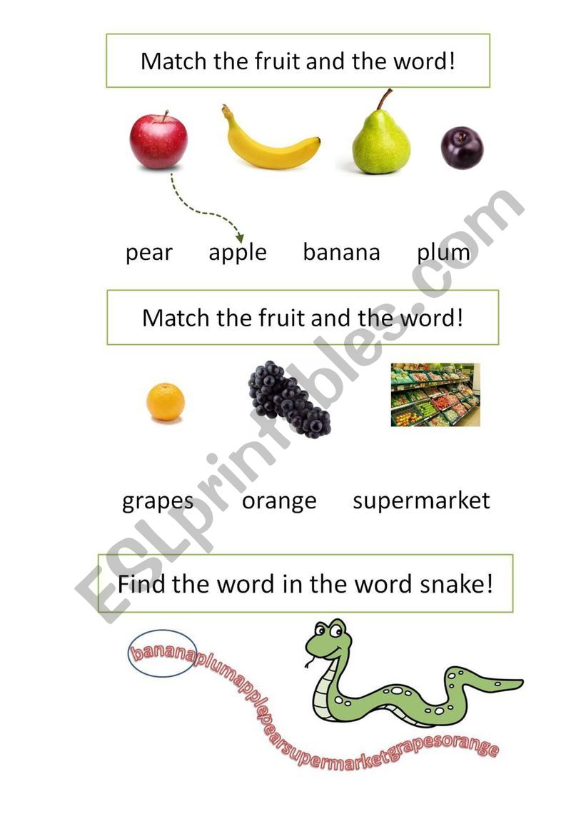 Fruits worksheet