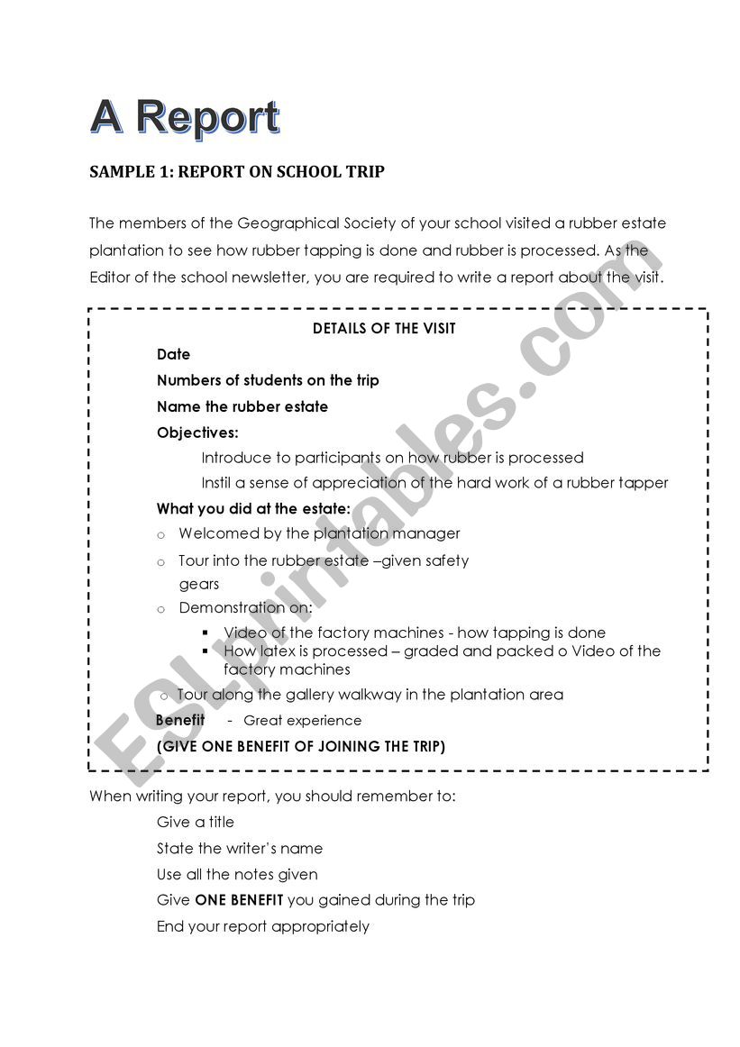a report on a trip worksheet