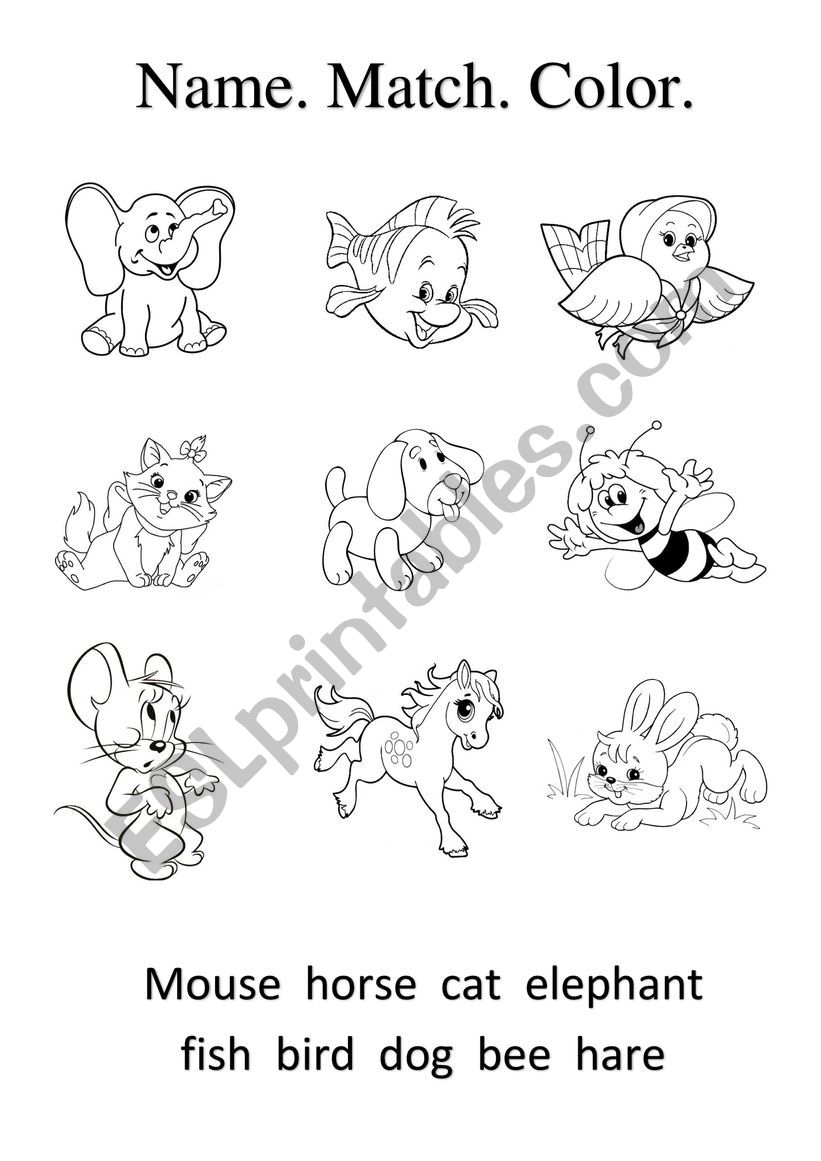 Animals worksheet