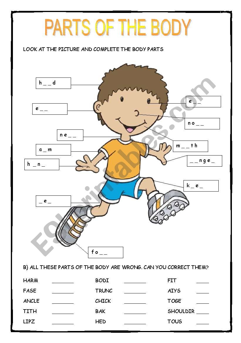 PARTS OF THE BODY worksheet