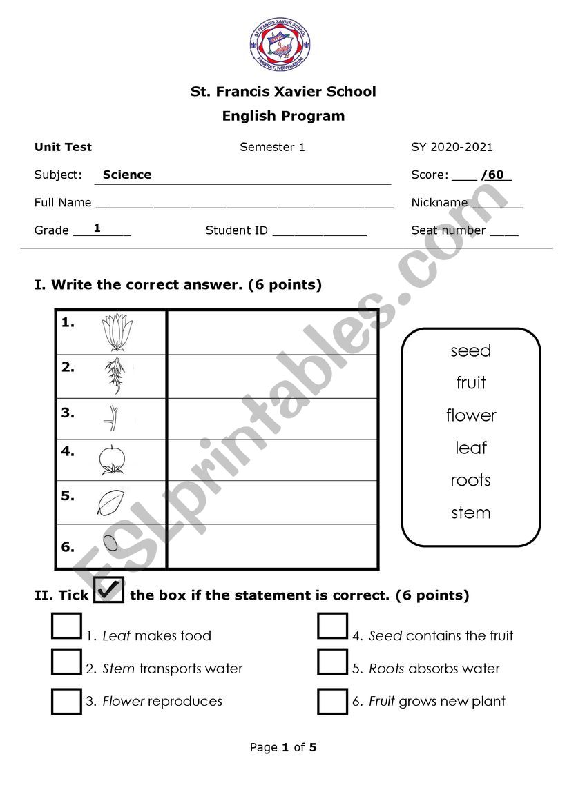 Animals and plants worksheet