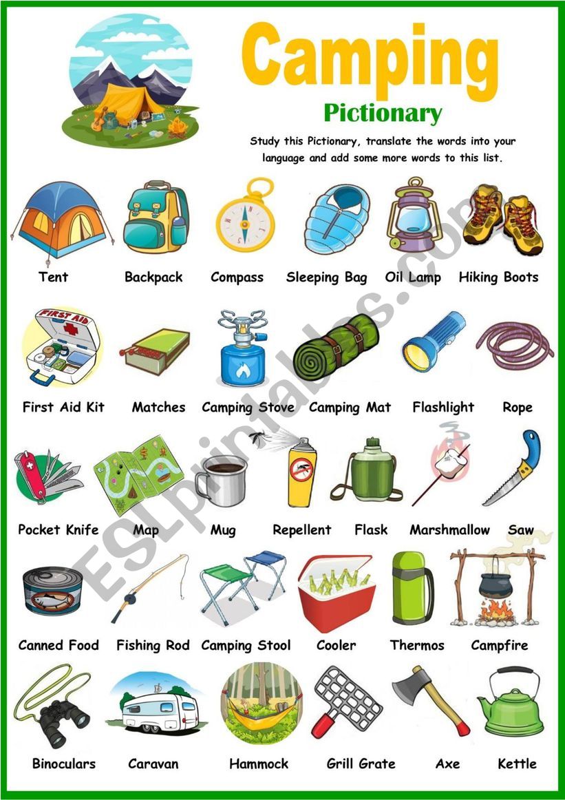 Camping Vocabulary worksheet