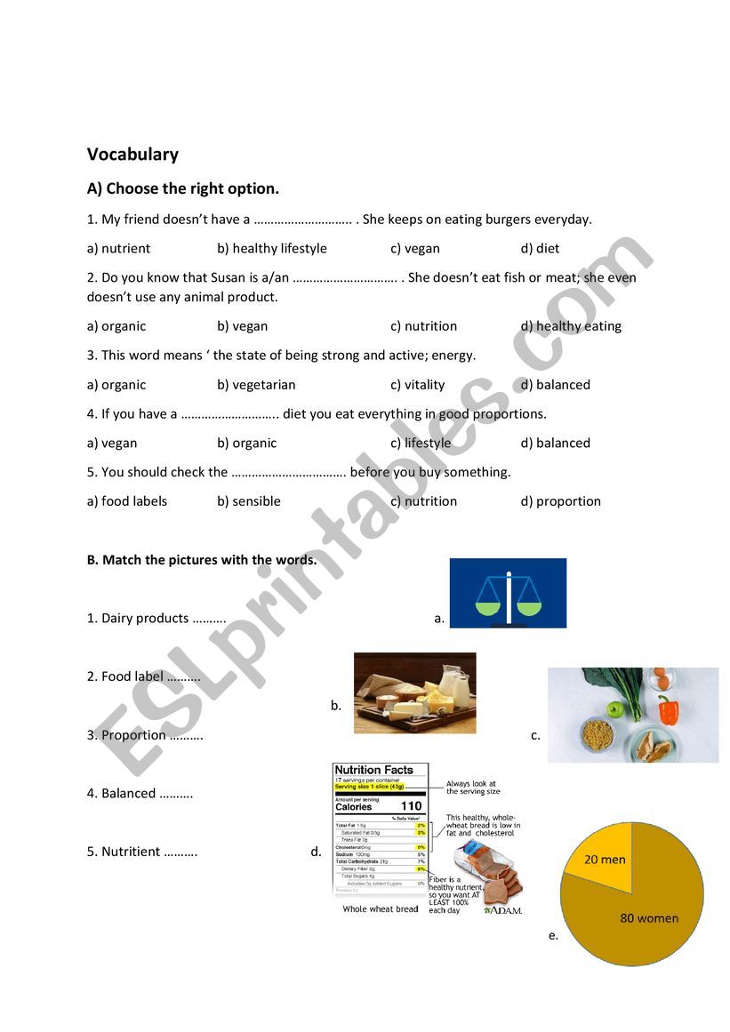 vocabulary worksheet worksheet