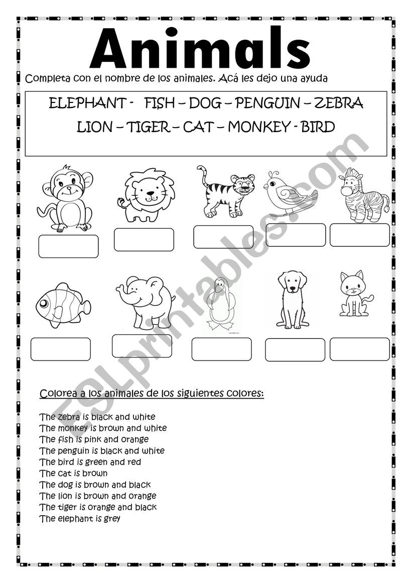 Animals  worksheet