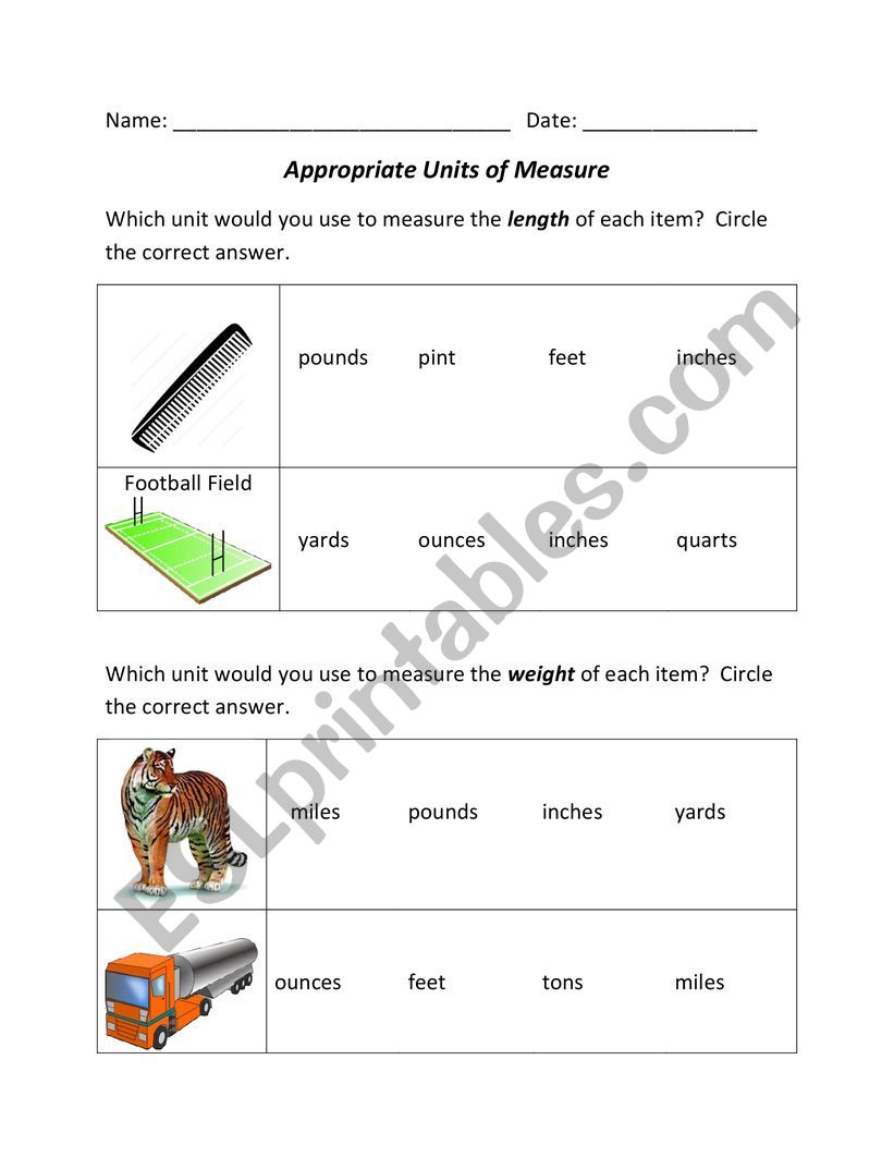 Measurement Appropriate Units worksheet